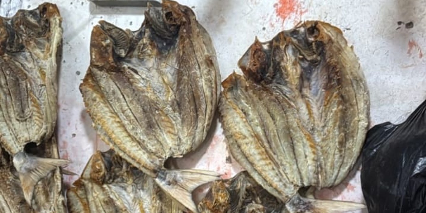 Dried fish supplier Indonesia — Dried fish — Dried Fish from Kalimantan (Ikan Kering Kalimantan)