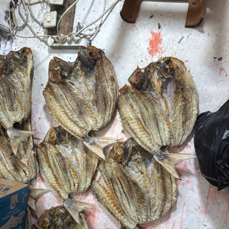 Ikan Kakap