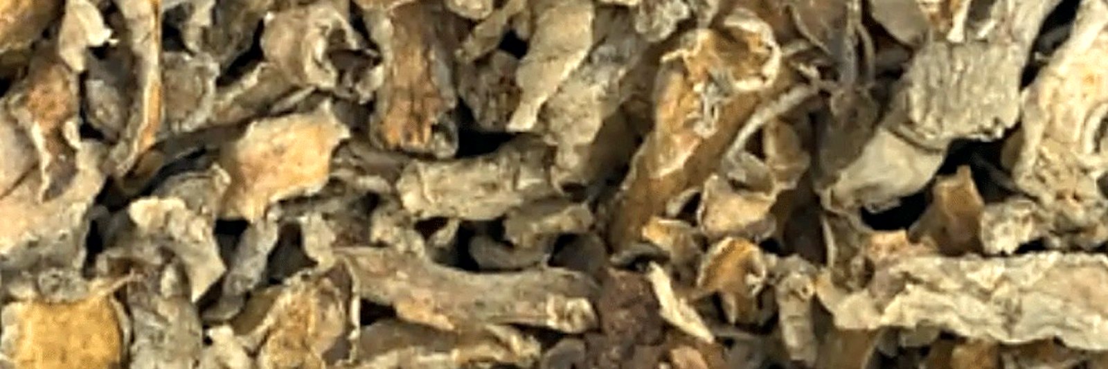 Dried turmeric supplier Indonesia — Dried turmeric — Dried Turmeric (Kunyit Kering)