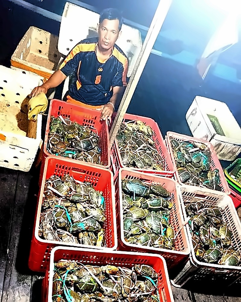 Hasil Tangkapan